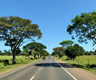 Como Viajar de Timon a Teresina de Forma Prática Como Viajar de Timon a Teresina de Forma Prática