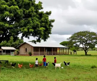 Descubra a Fazendinha Bernad’s: Turismo Rural em Teresina Descubra a Fazendinha Bernad’s: Turismo Rural em Teresina