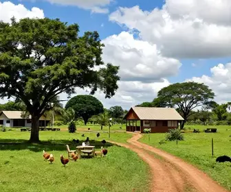 Descubra a Fazendinha Bernad’s: Um Refúgio no Turismo Rural de Teresina Descubra a Fazendinha Bernad’s: Um Refúgio no Turismo Rural de Teresina