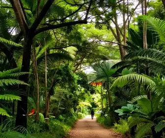 Descubra as Trilhas Ecológicas de Teresina e Conecte-se com a Natureza