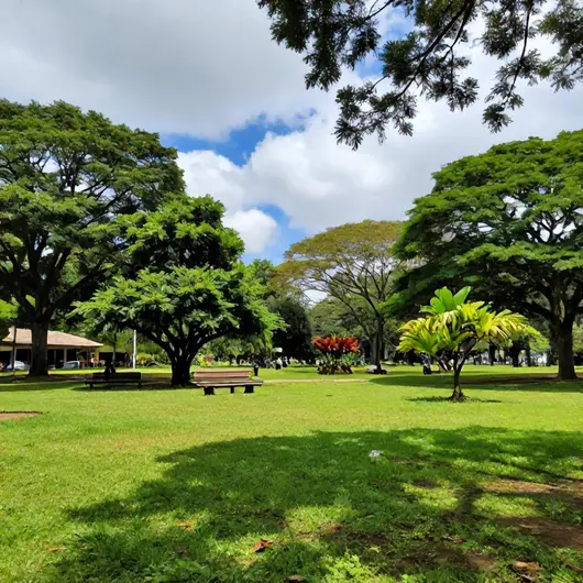 Descubra o Kingopark Descubra o Kingopark