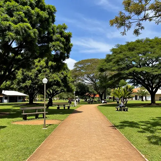 Descubra o Potycabana Park