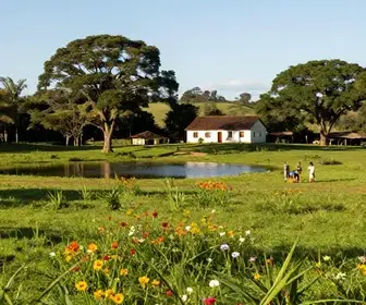 Descubra o Sítio Alegria: Um Refúgio de Turismo Rural em Teresina Descubra o Sítio Alegria: Um Refúgio de Turismo Rural em Teresina