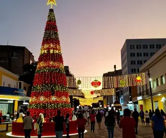 Experimente o Natal em Teresina: Decoração e Programação Imperdível