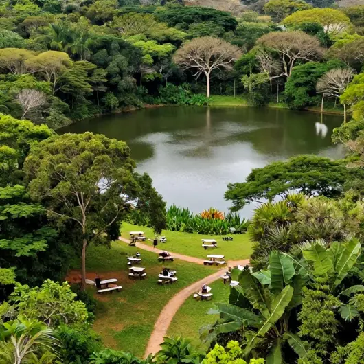 Explore o Sítio do Didi: Um Refúgio de Natureza e Lazer Explore o Sítio do Didi: Um Refúgio de Natureza e Lazer