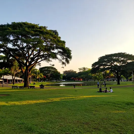 Parque da Cidade João Mendes Olimpio de Melo Parque da Cidade João Mendes Olimpio de Melo