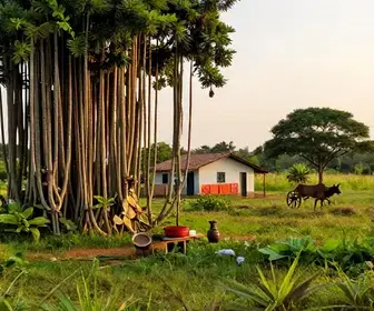 Trapos e Fiapos: Explorando a Cultura e a Vida Rural em Teresina