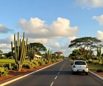 Viaje de Fortaleza a Teresina: Seu Guia Completo Viaje de Fortaleza a Teresina: Seu Guia Completo